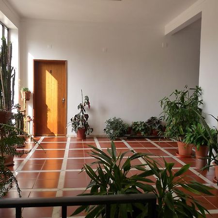 Residencial O Bras Hotel Alvaiázere Exterior foto