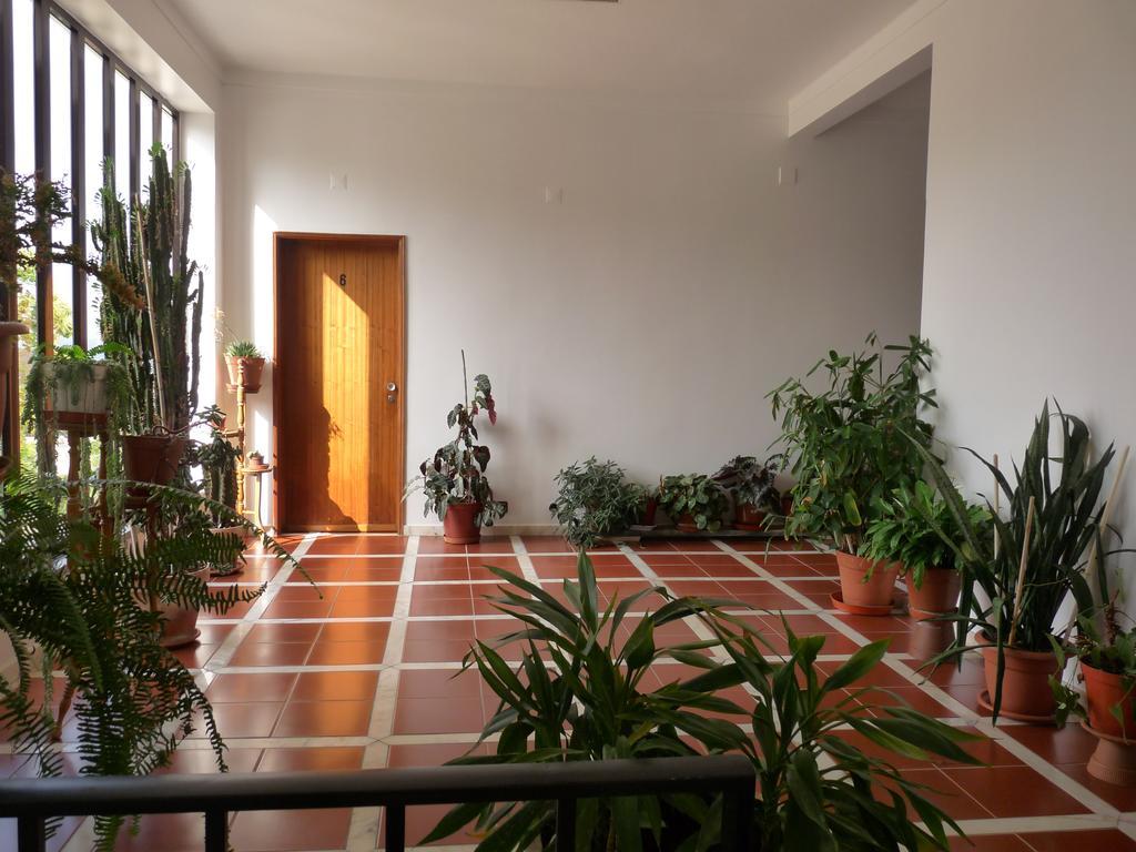 Residencial O Bras Hotel Alvaiázere Exterior foto